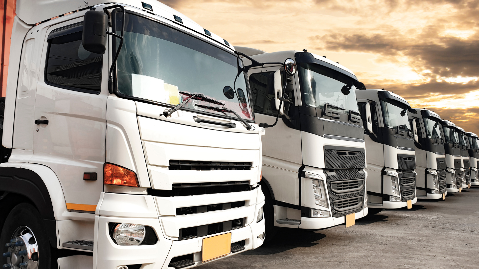 lastwagen-chauffeur-flexibelgmbh-lkw-chauffeur-lkw-fahrer-wocheneinsaetze