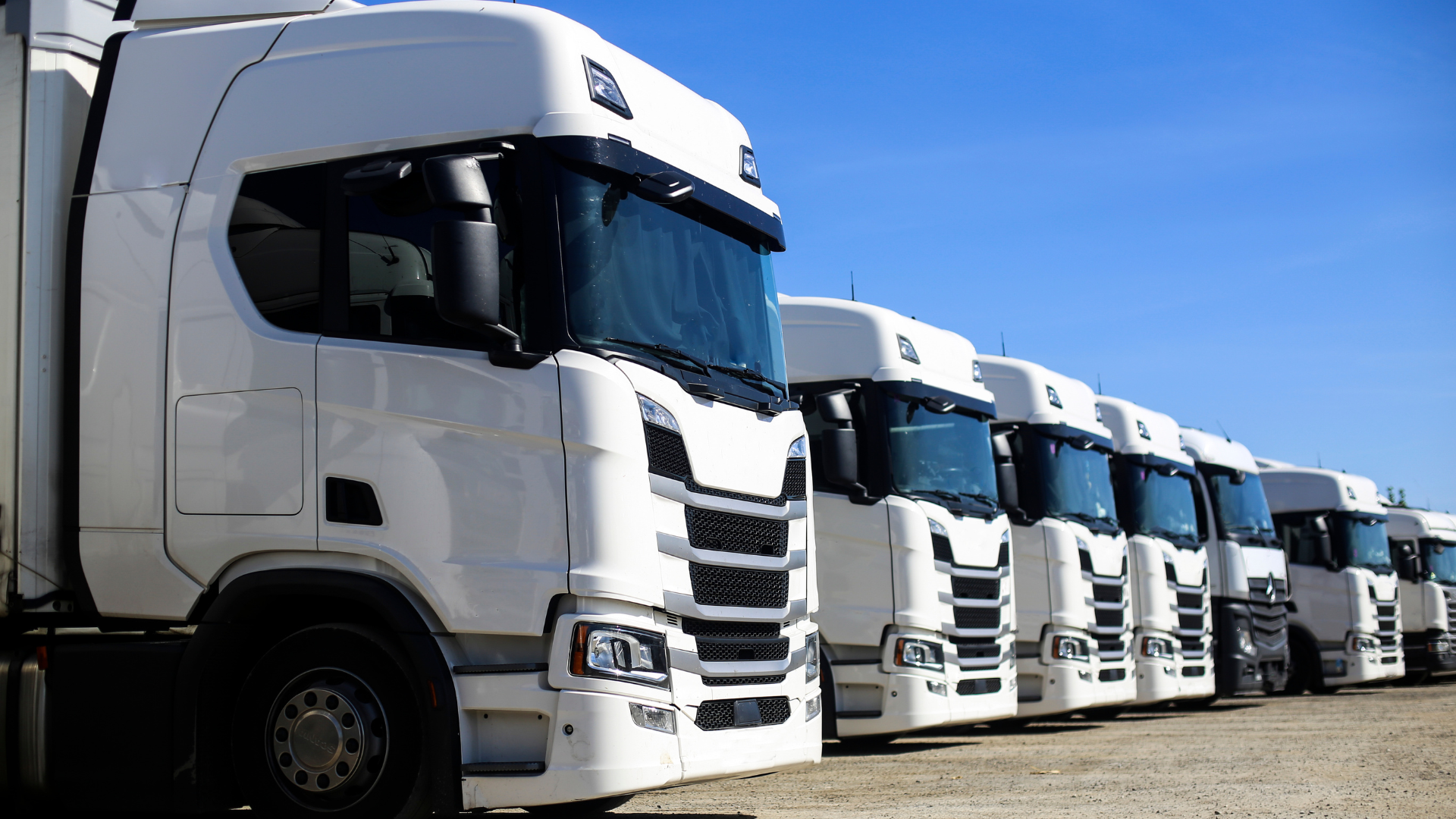 lastwagen-chauffeur-flexibelgmbh-lkw-chauffeur-lkw-fahrer-tagestouren